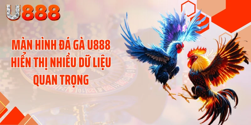 Màn hình đá gà U888 hiển thị nhiều dữ liệu quan trọng